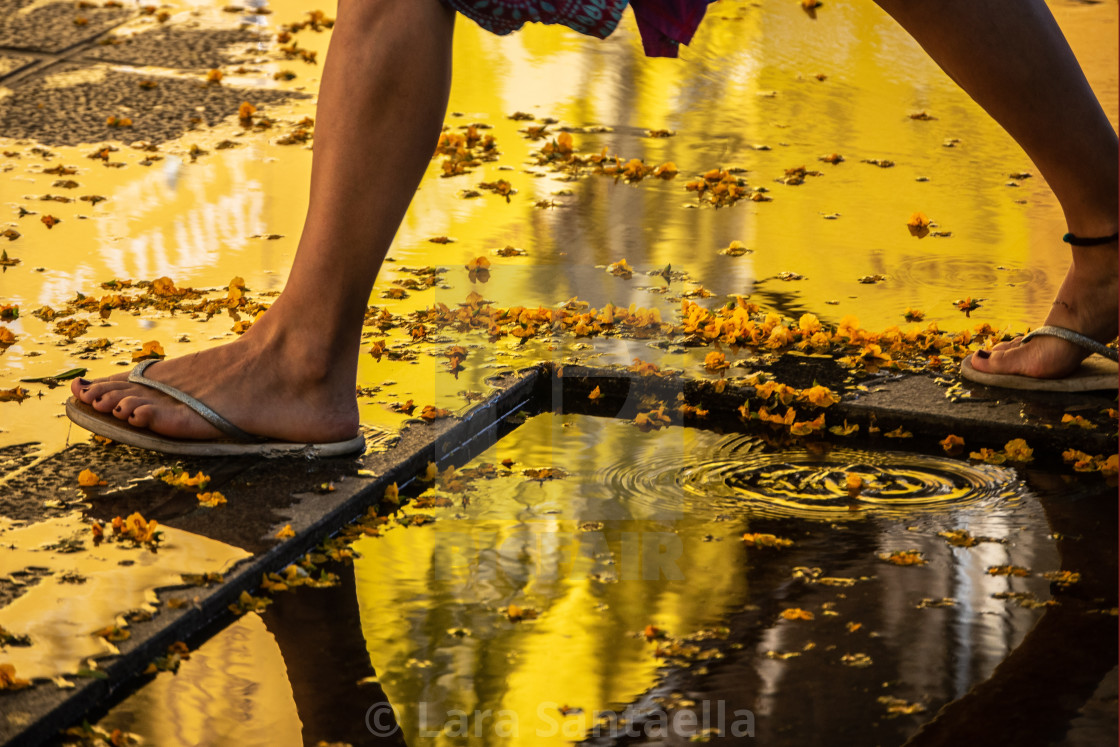 "Walking on gold" stock image