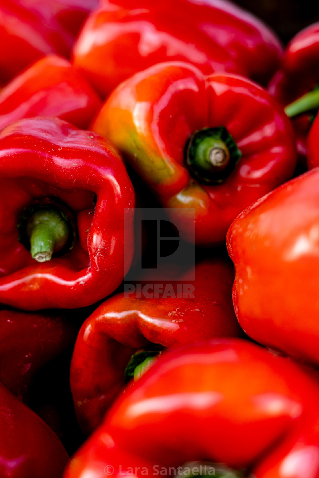 "Bell peppers" stock image