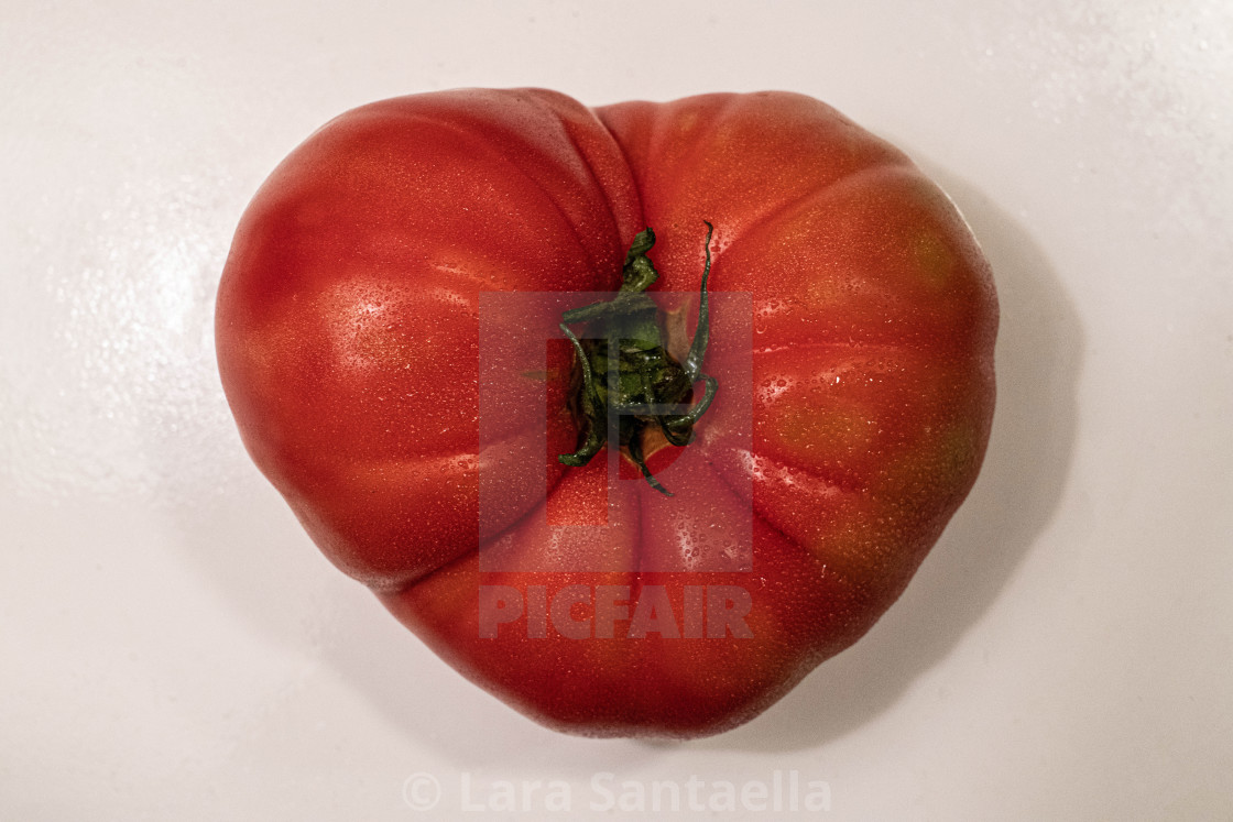 "Transgender heart" stock image