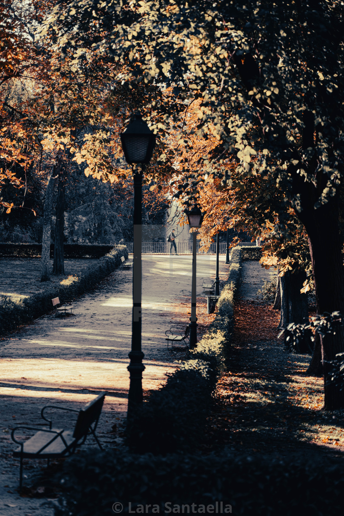 "We call it fall because leaves fall from the trees" stock image