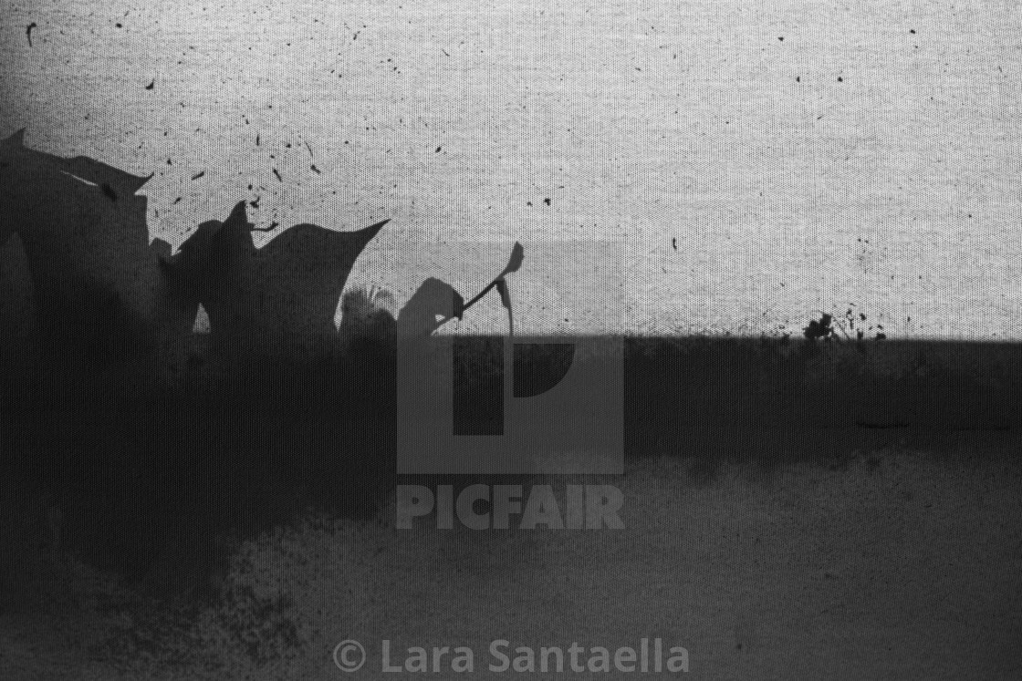 "A play of shadows" by Lara Santaella - $56.56 "A play of shadows" stock image