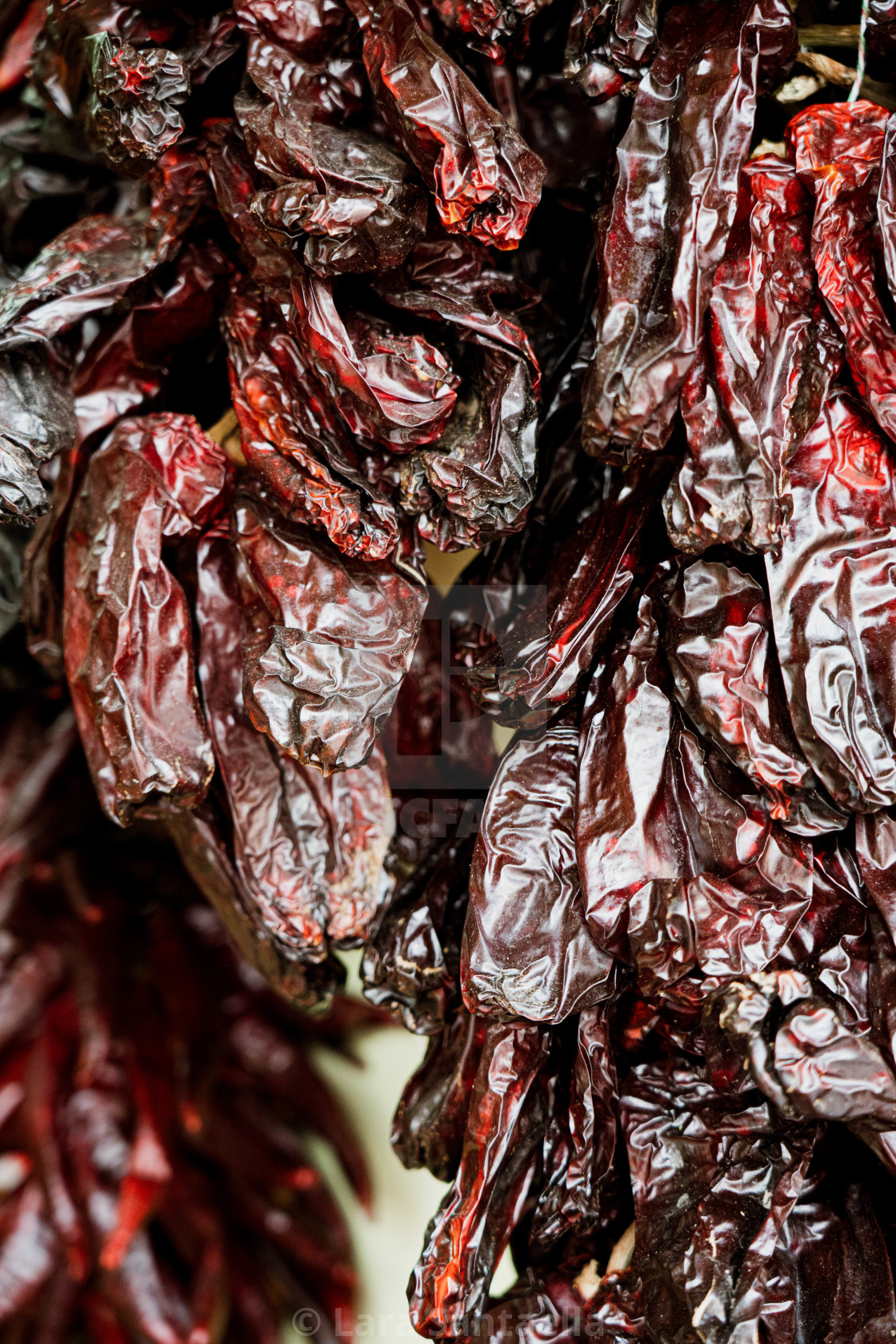 "Dried peppers" stock image