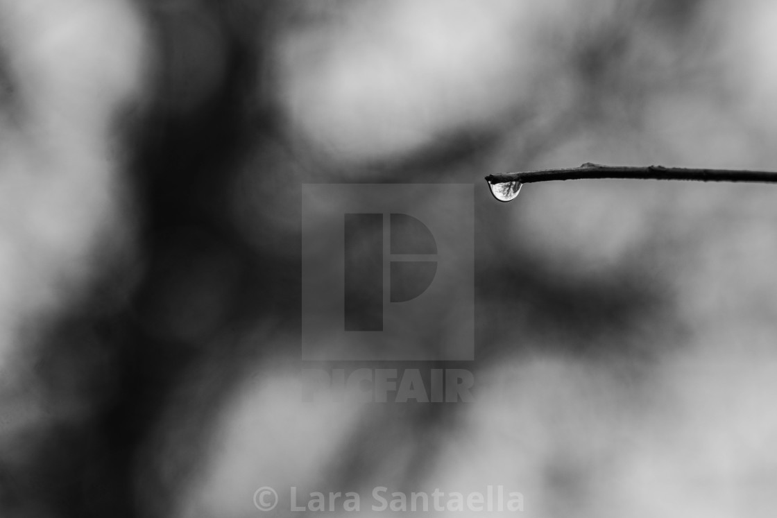 "Hanging around" stock image