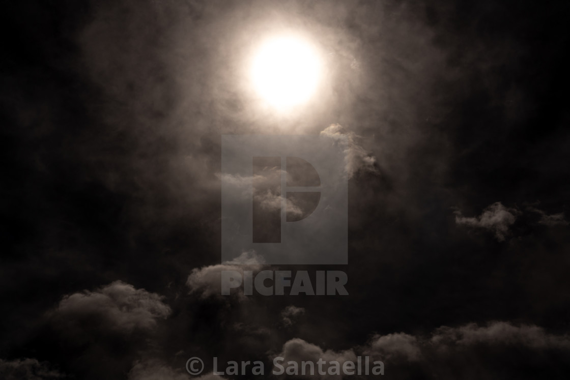 "Veins of Gold" by Lara Santaella - $56.79 "Veins of Gold" stock image