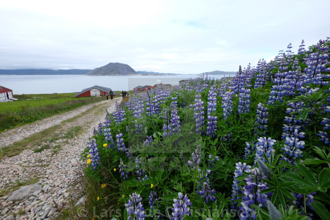 "Settlement in Greenland" stock image