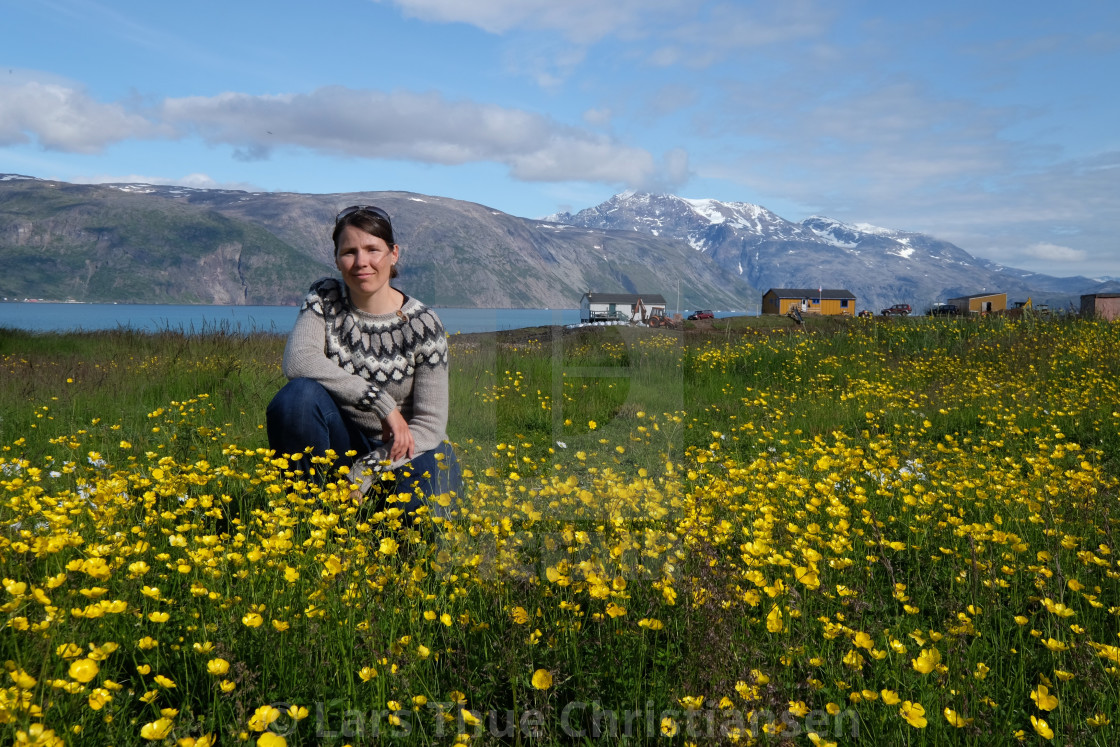 "South Greenland visit" stock image