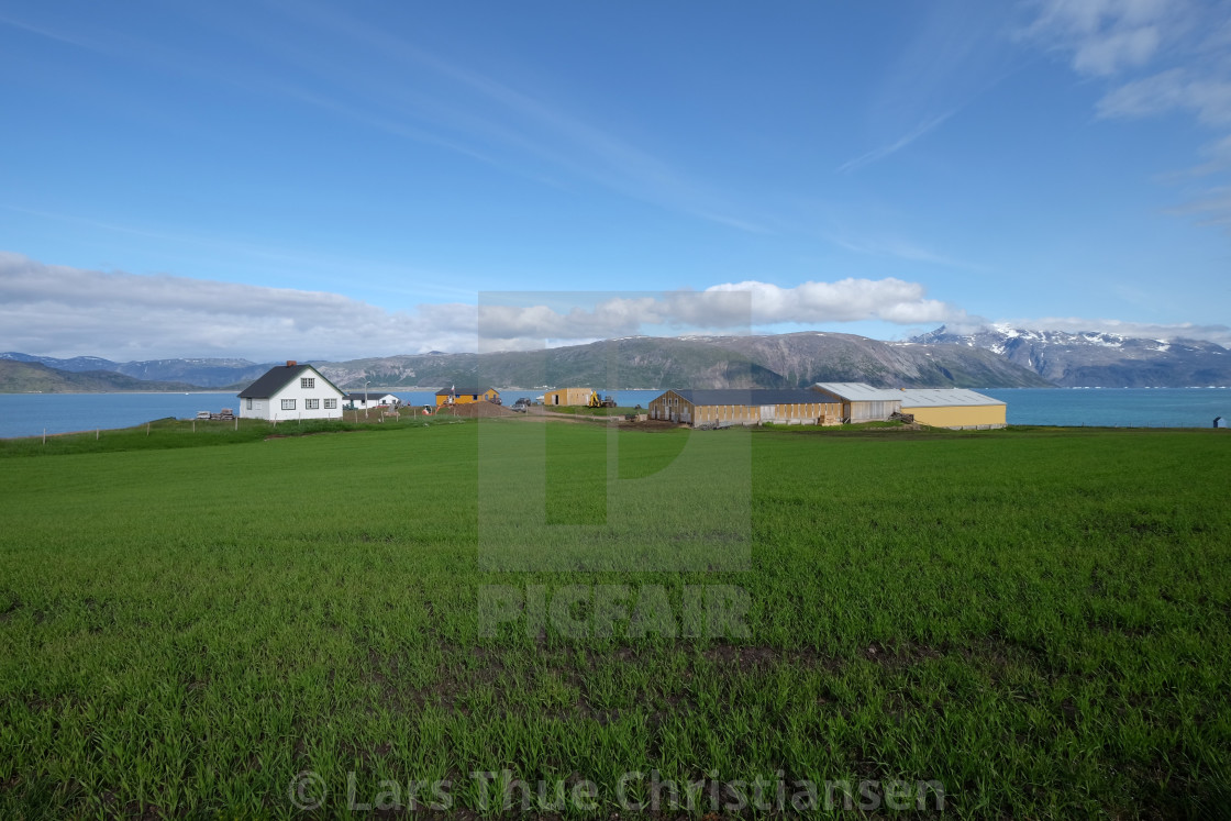 "Farm in south Greenland" stock image