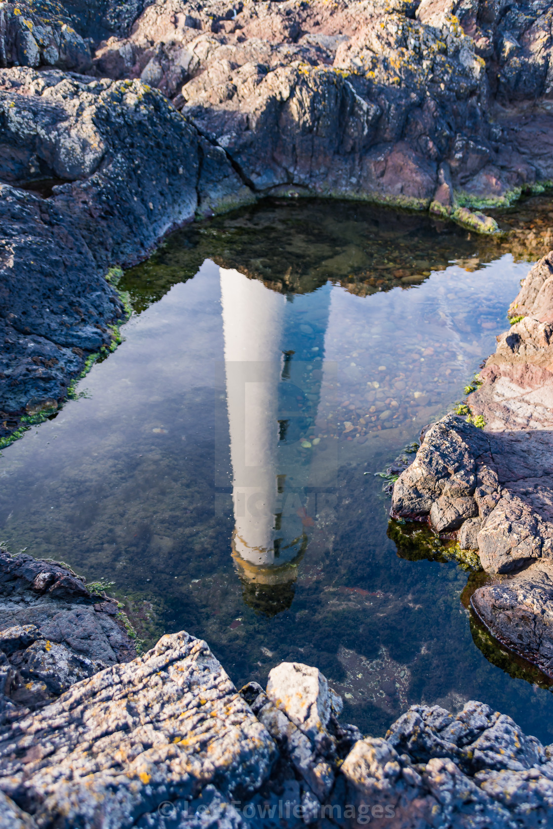 "Scurdie Ness Lighthouse Reflection" stock image