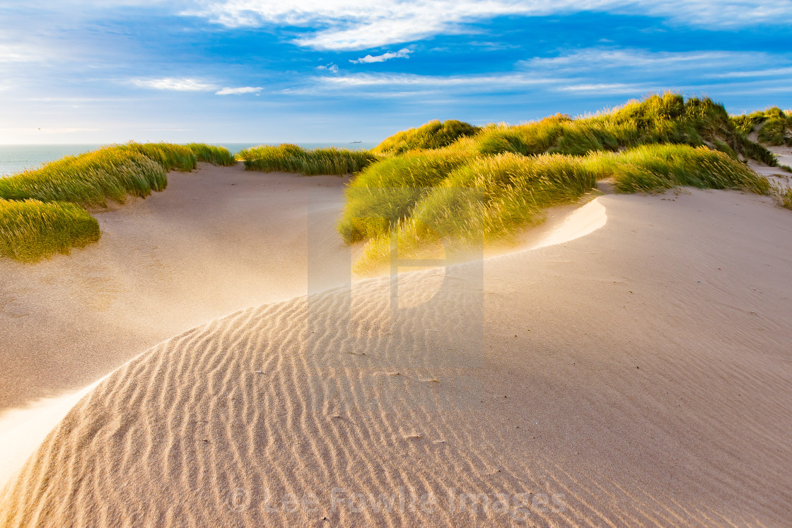 "The Sand Dunes, Balmedie Beach" stock image