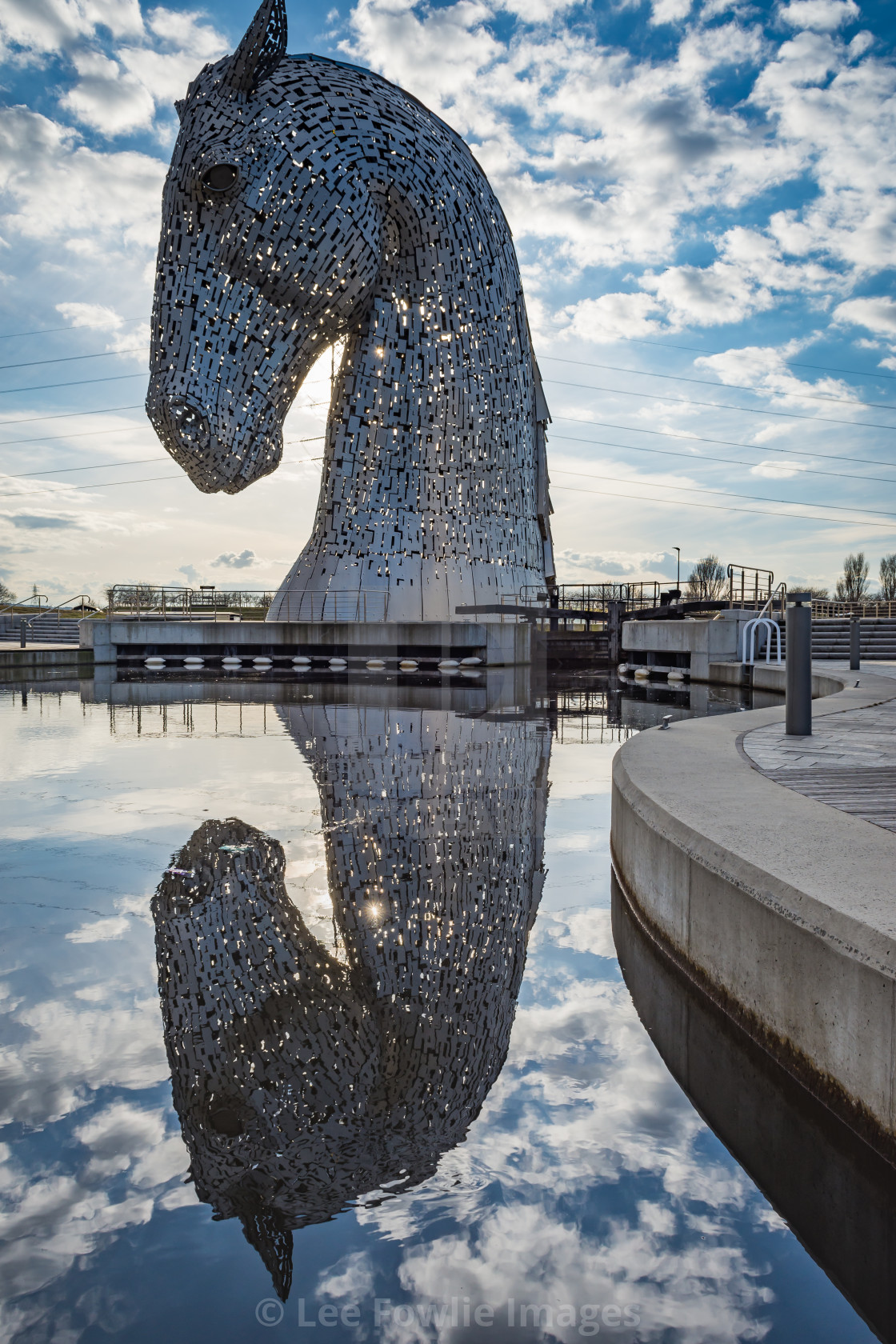 "Kelpie Reflection" stock image