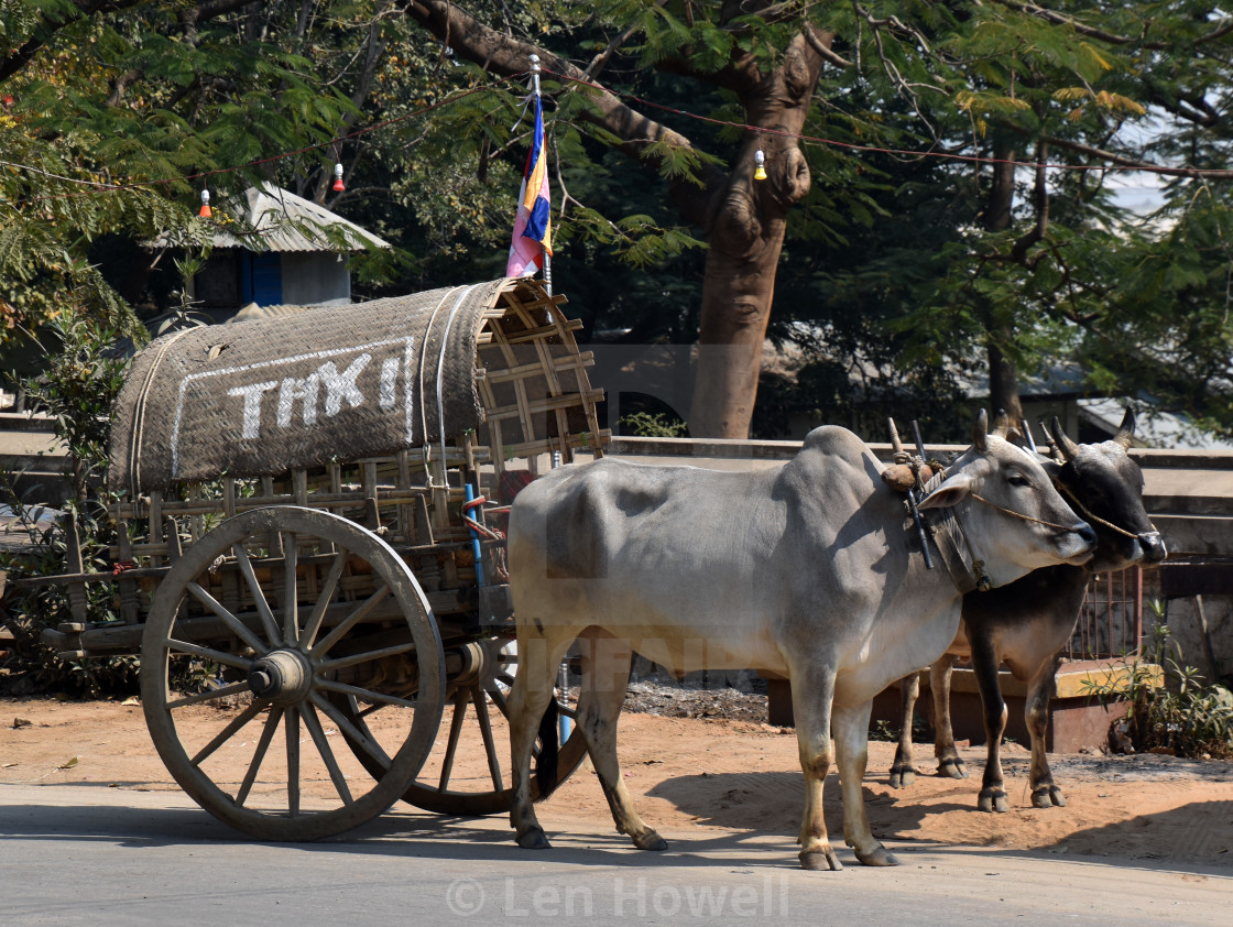 "Myanmar Uber?" stock image