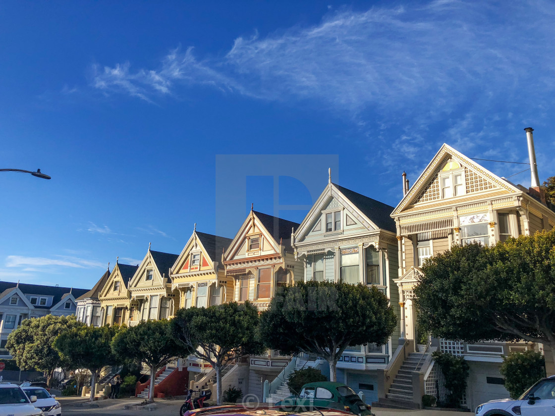 "Painted Ladies 2" stock image