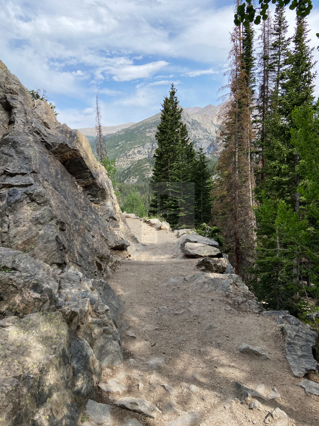 "Narrow Trail" stock image