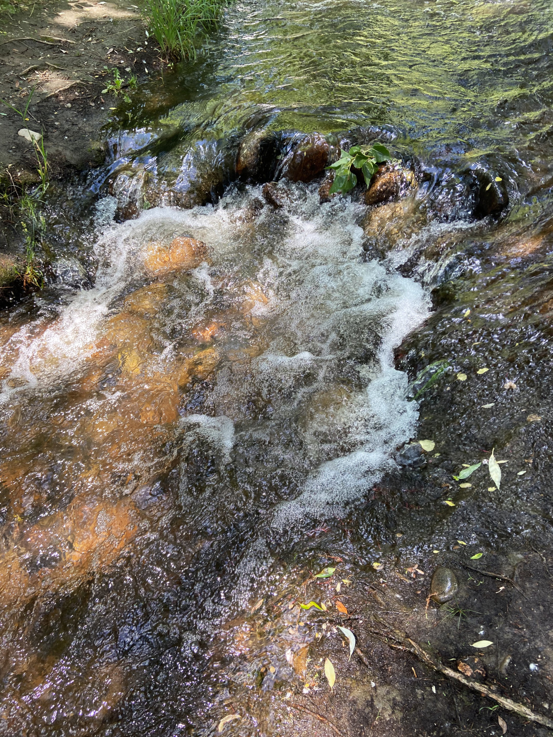 "Boulder Creek" stock image