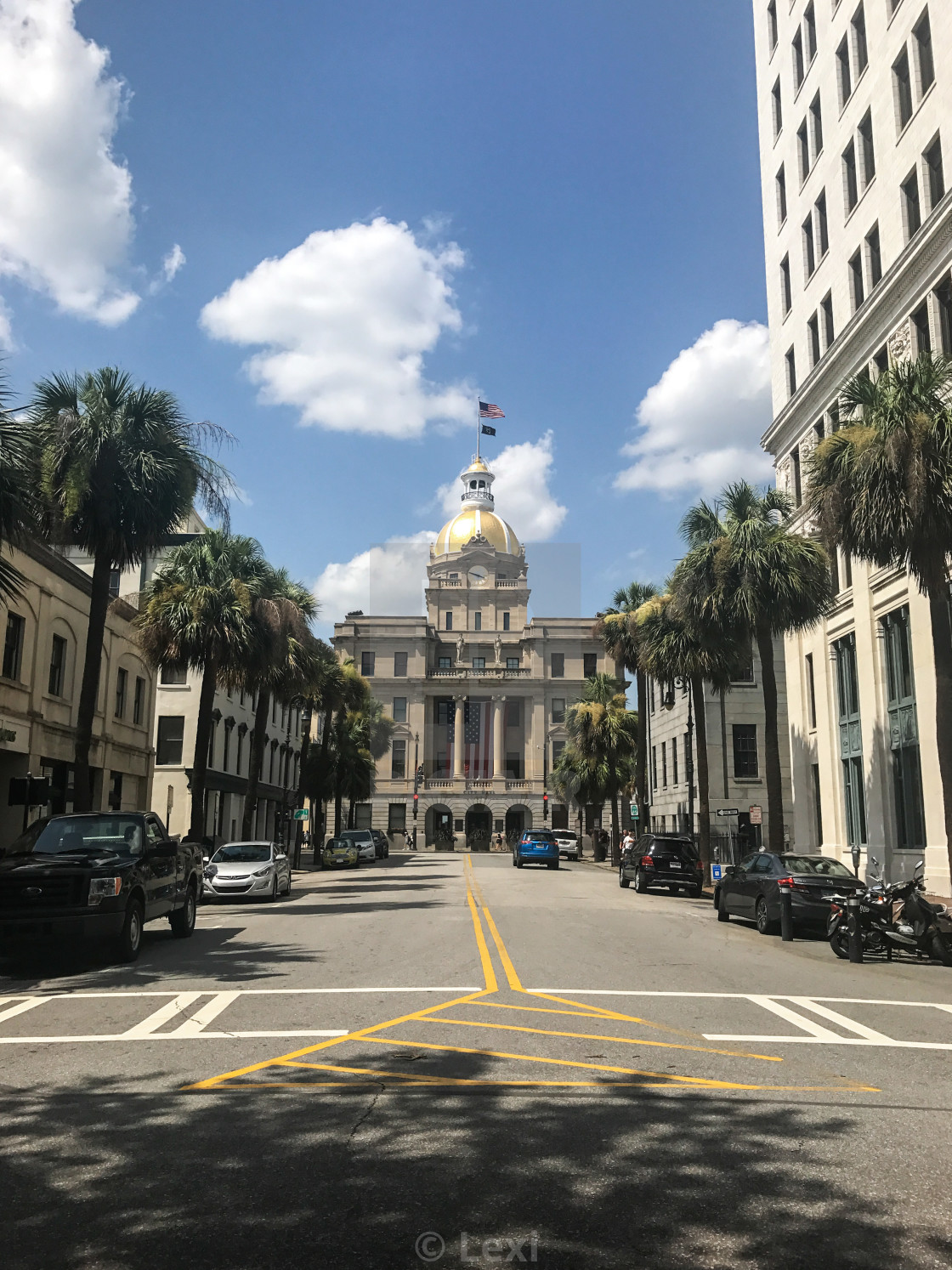 "Savannah City Hall" stock image