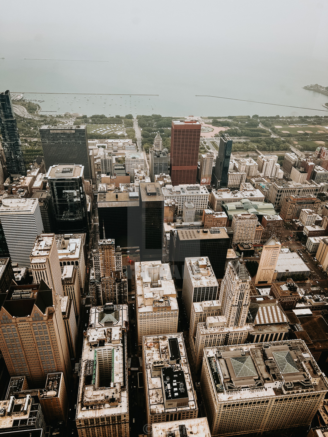 "Willis Tower View" stock image