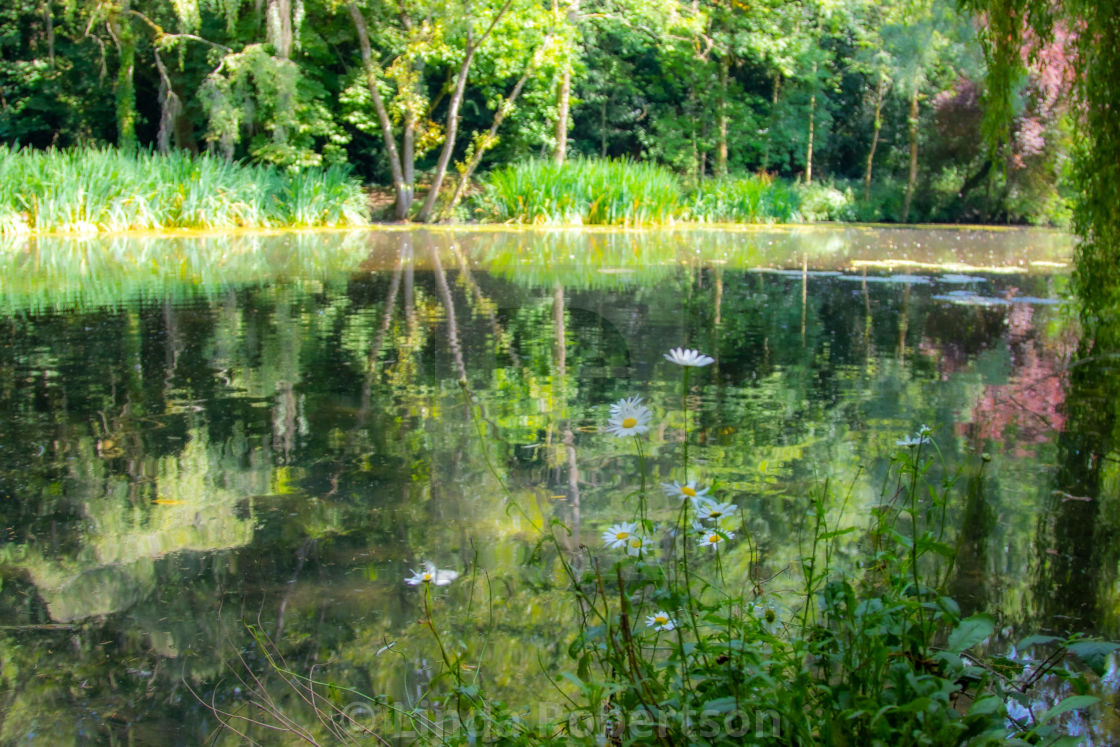 "Lake reflections" stock image