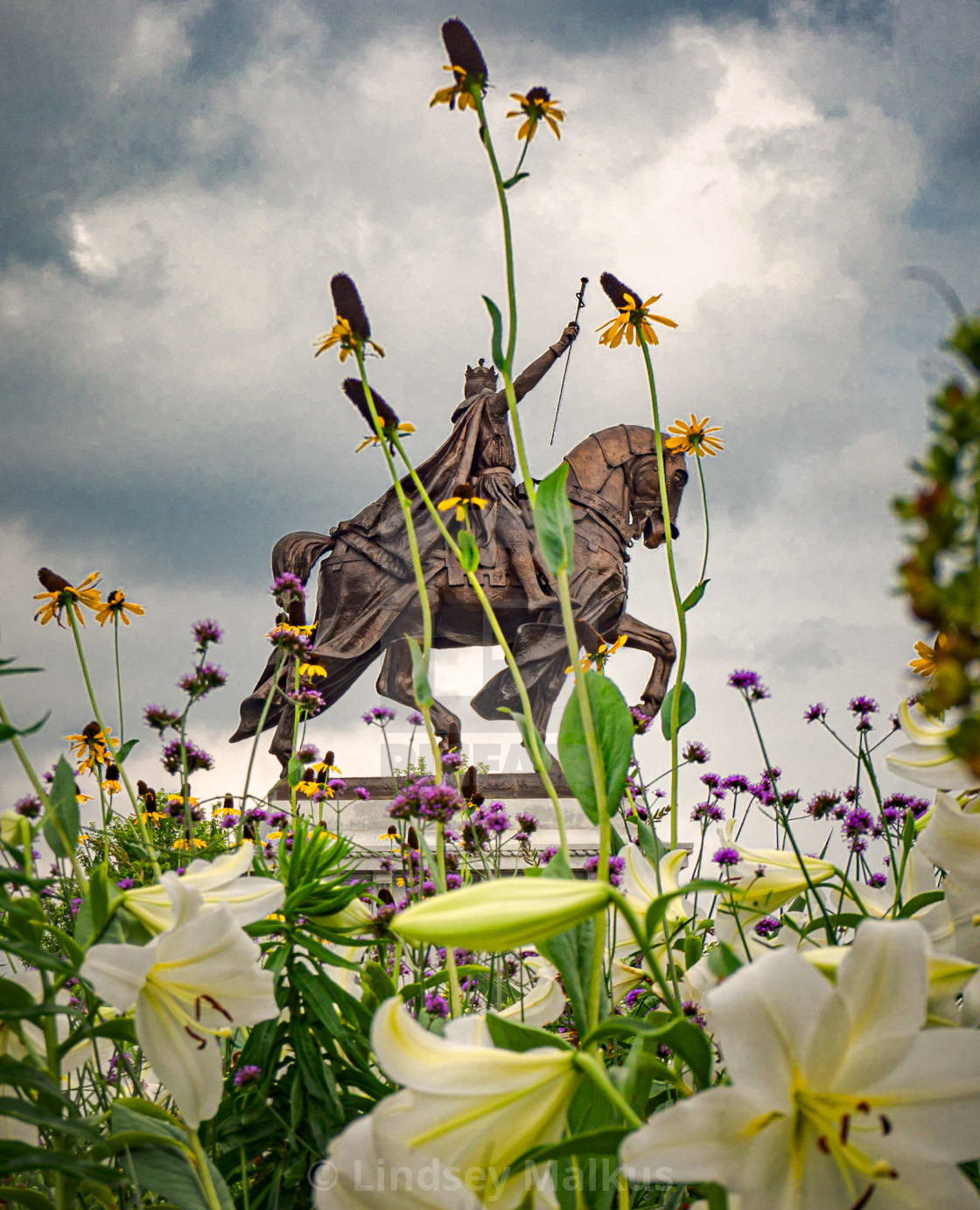 "A King amongst the flowers" stock image