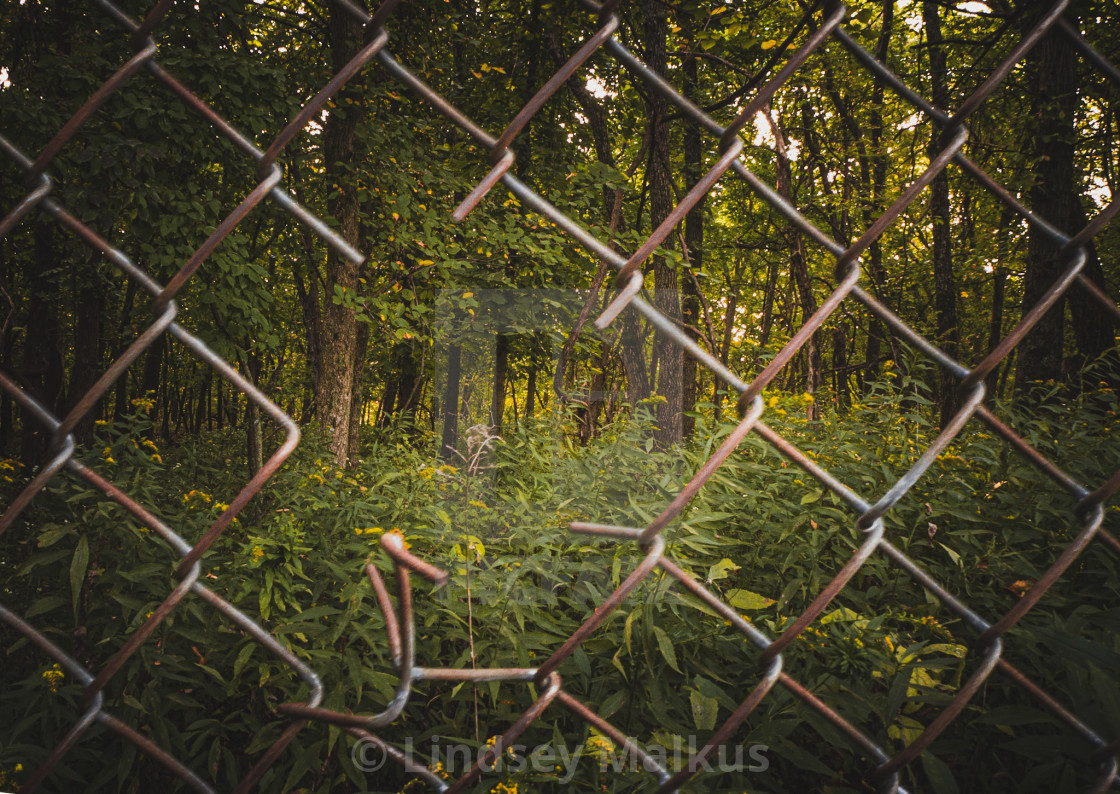 "Chainlink charm" stock image