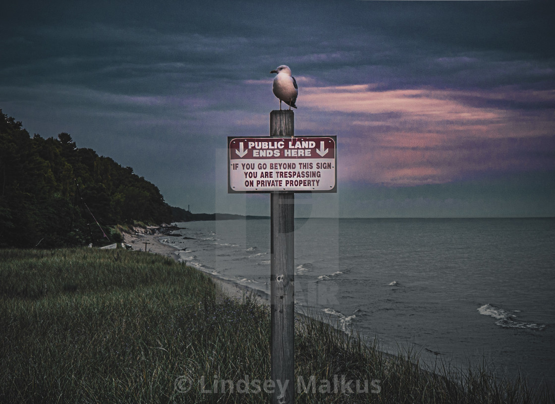 "Gull Guard" stock image