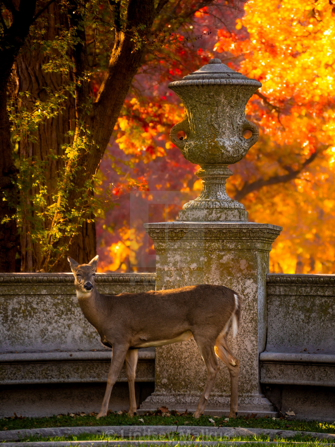 "Autumn Alcove" stock image