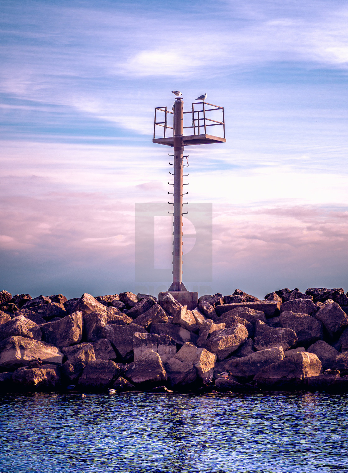 "Seagull Sentry" stock image