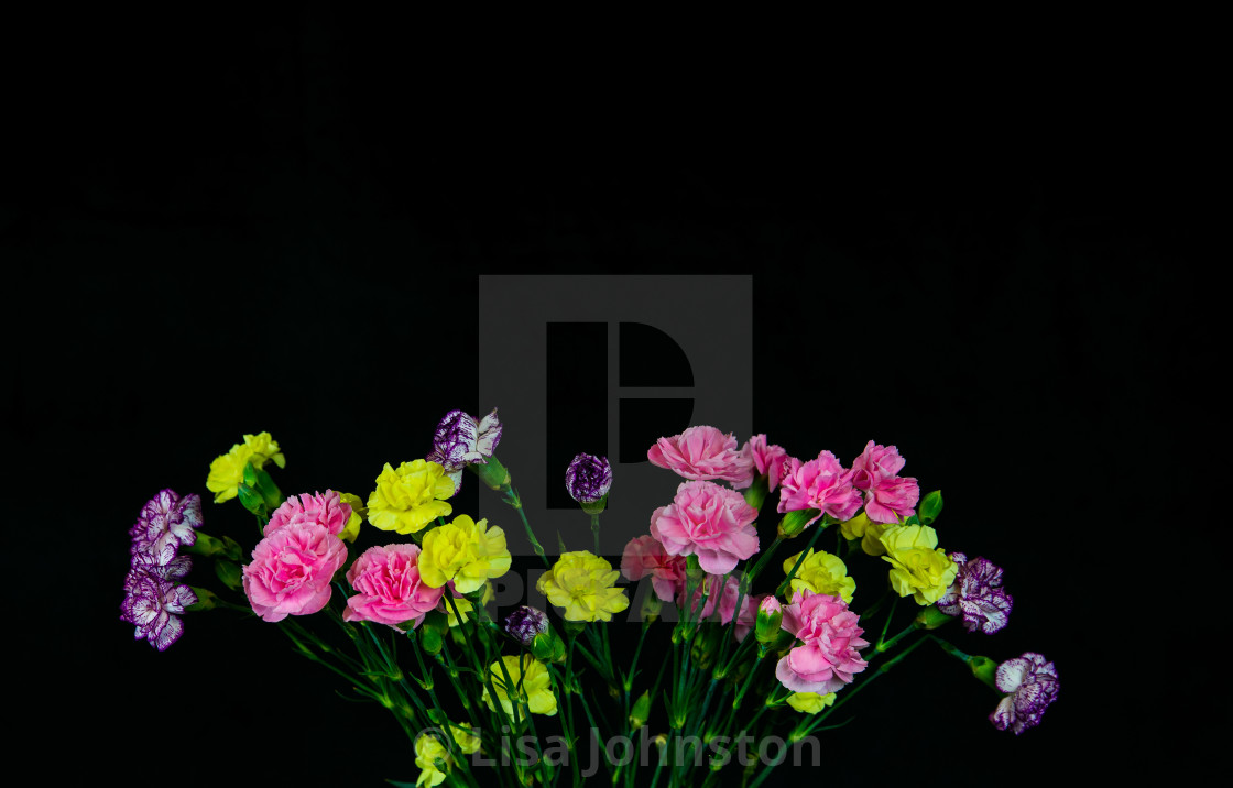 "Bouquet of flowers" stock image