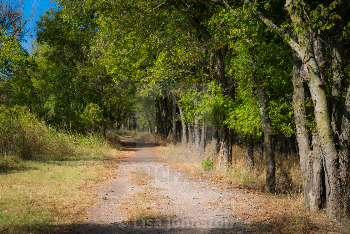 "Hiking Trail" stock image