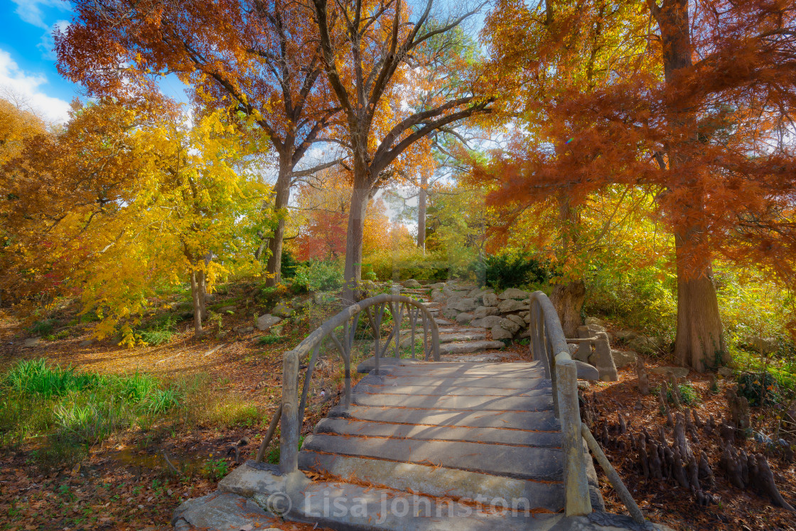 "Bridge in Woodward Park" stock image