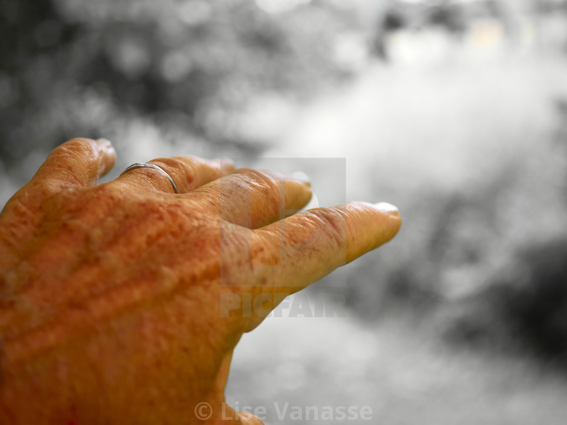 "An old woman's hand." by Lise Vanasse - £1.00 "An old woman's hand." stock image