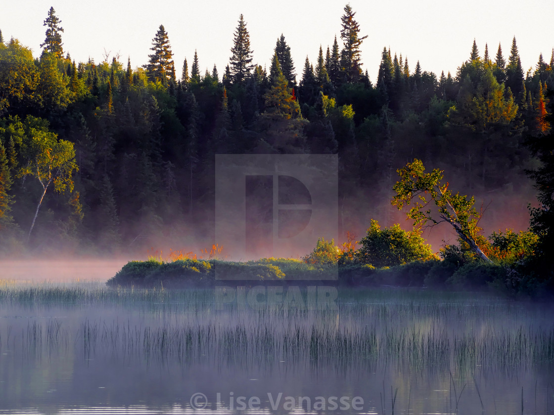 "The mist on the lake." by Lise Vanasse - £1.00 "The mist on the lake." stock image