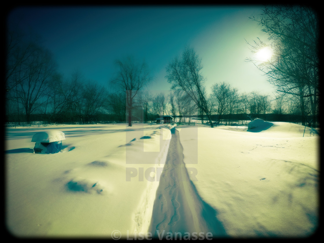 "A snow trail in winter." by Lise Vanasse - £1.00 "A snow trail in winter." stock image