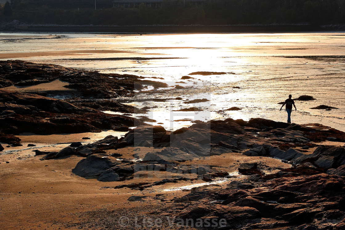 "A walker walking at low tide." by Lise Vanasse - £1.00 "A walker walking at low tide." stock image