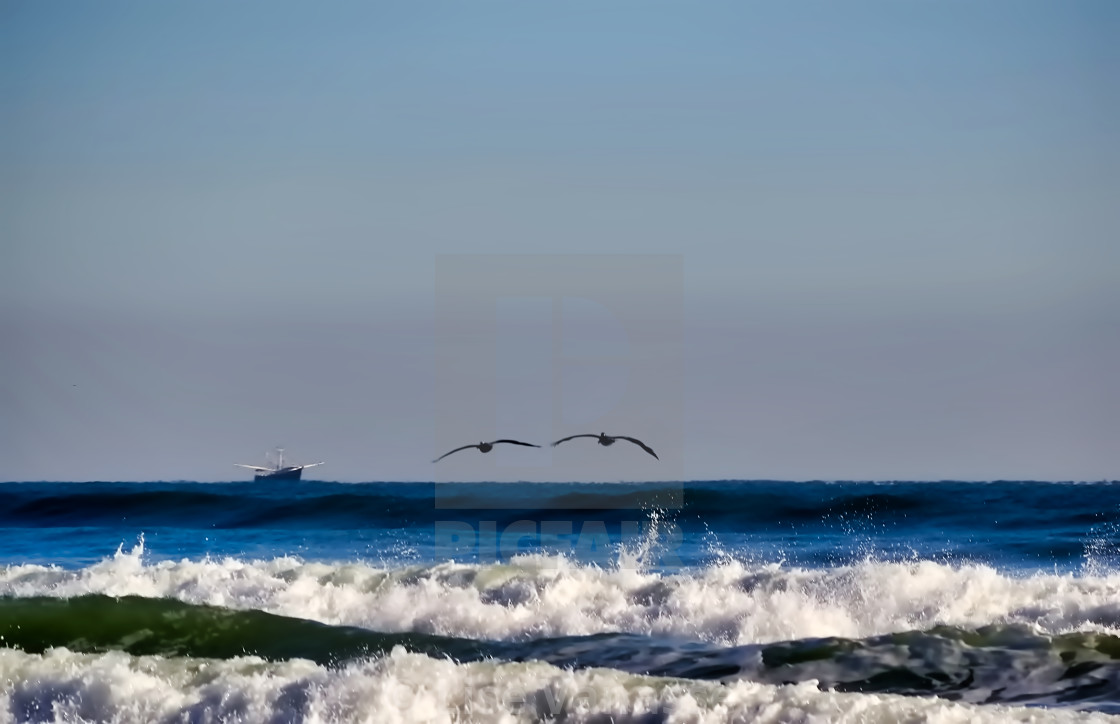 "Two pelicans going to see the boat offshore." by Lise Vanasse - £1.00 "Two pelicans going to see the boat offshore." stock image