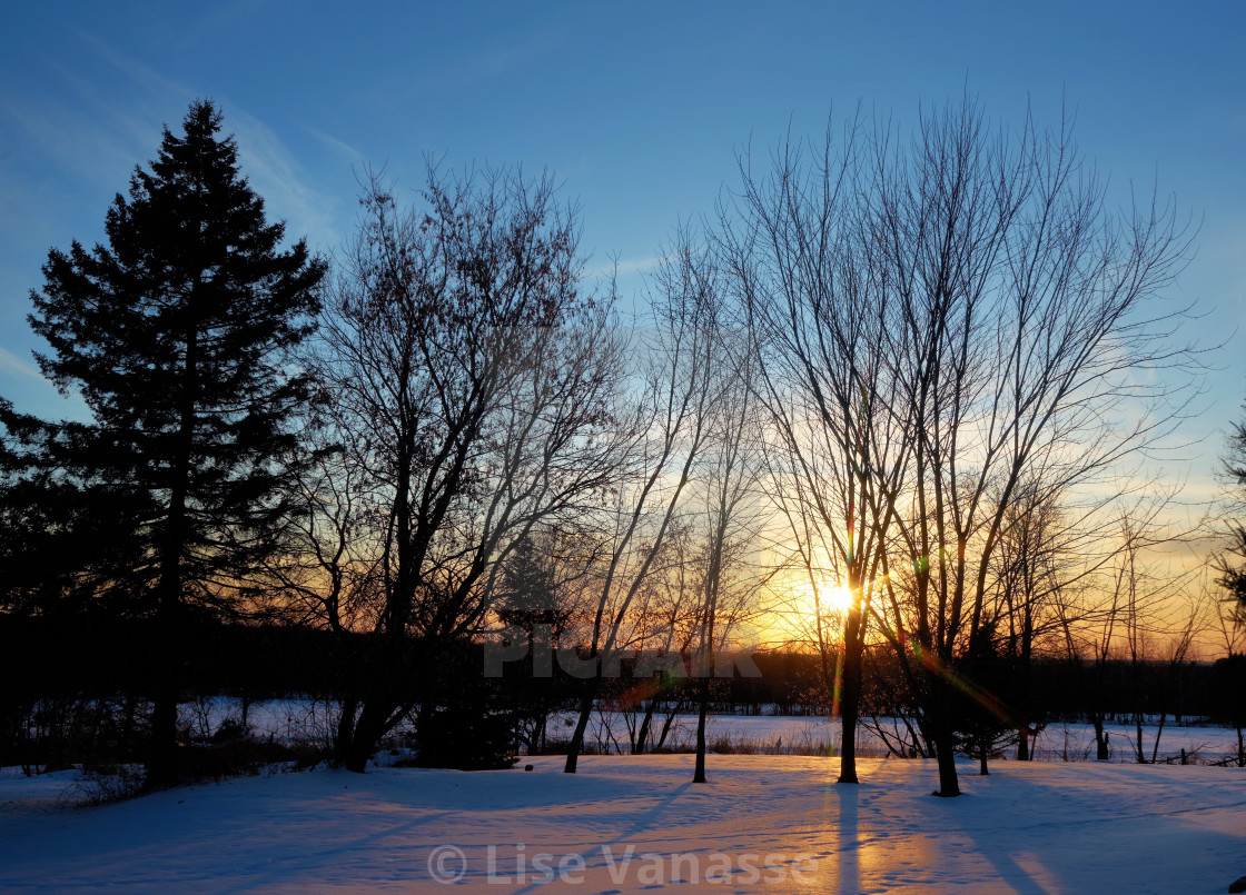 "The reflection of the sun on the snow." by Lise Vanasse - £1.00 "The reflection of the sun on the snow." stock image