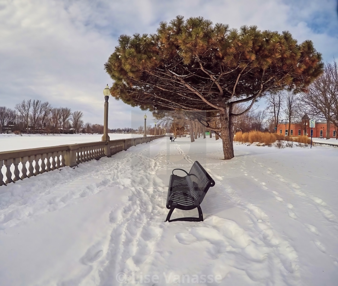 "A bench lost in a park." by Lise Vanasse - £1.00 "A bench lost in a park." stock image