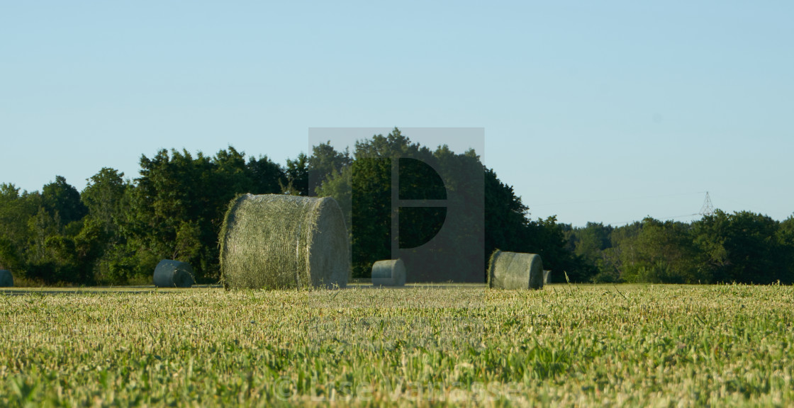 "First hay harvest of the year." by Lise Vanasse - £1.00 "First hay harvest of the year." stock image