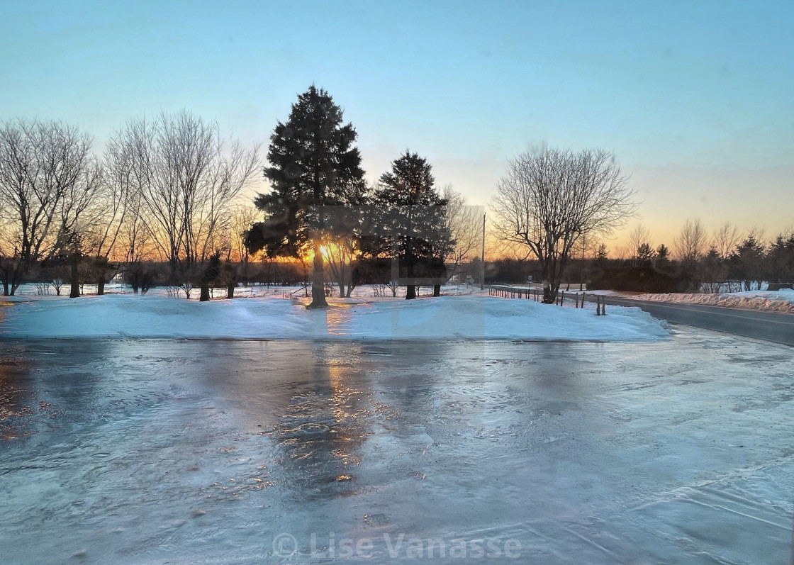"The reflection of a tree on the ice." by Lise Vanasse - £1.00 "The reflection of a tree on the ice." stock image