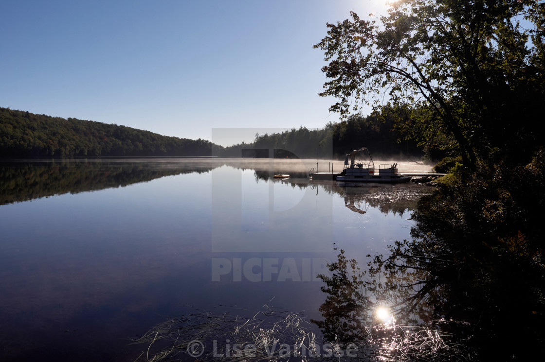"Morning sweetness at the edge of a lake." by Lise Vanasse - £1.00 "Morning sweetness at the edge of a lake." stock image
