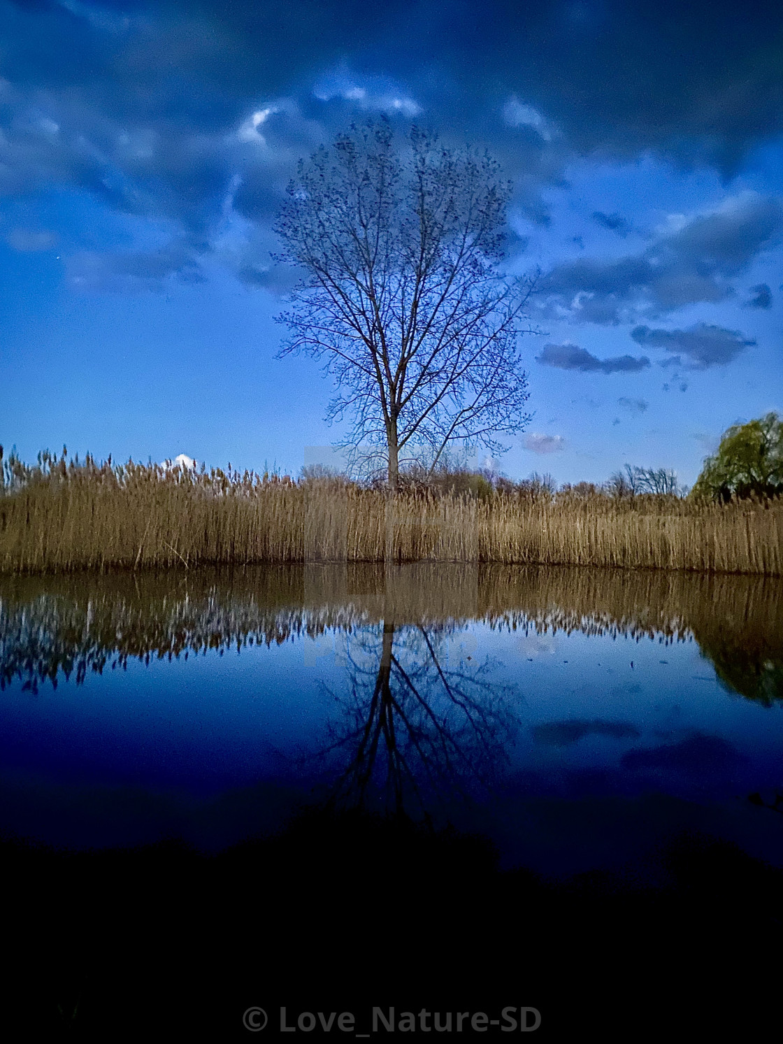 "Pond" stock image