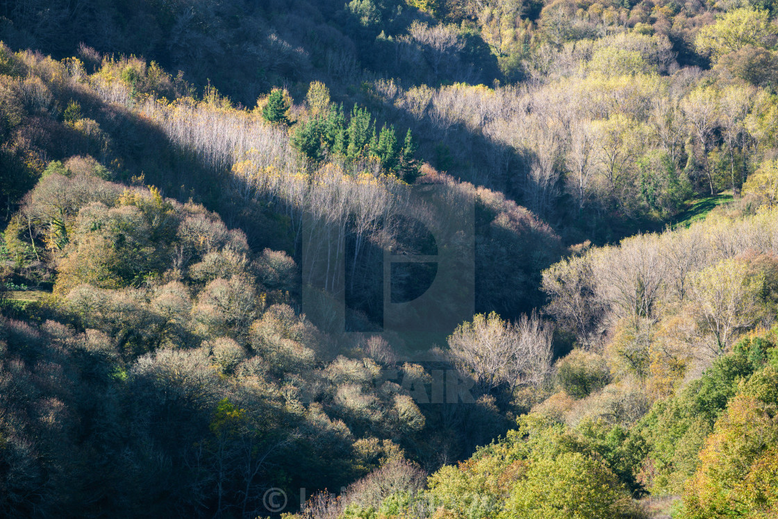 "Changing colors in October in the wooded valleys" by Luis Vilanova - $15.31 "Changing colors in October in the wooded valleys" stock image