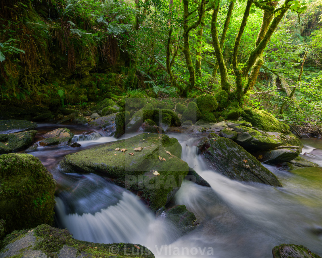 "Dim late summer lighting at a waterfall" by Luis Vilanova - $15.31 "Dim late summer lighting at a waterfall" stock image