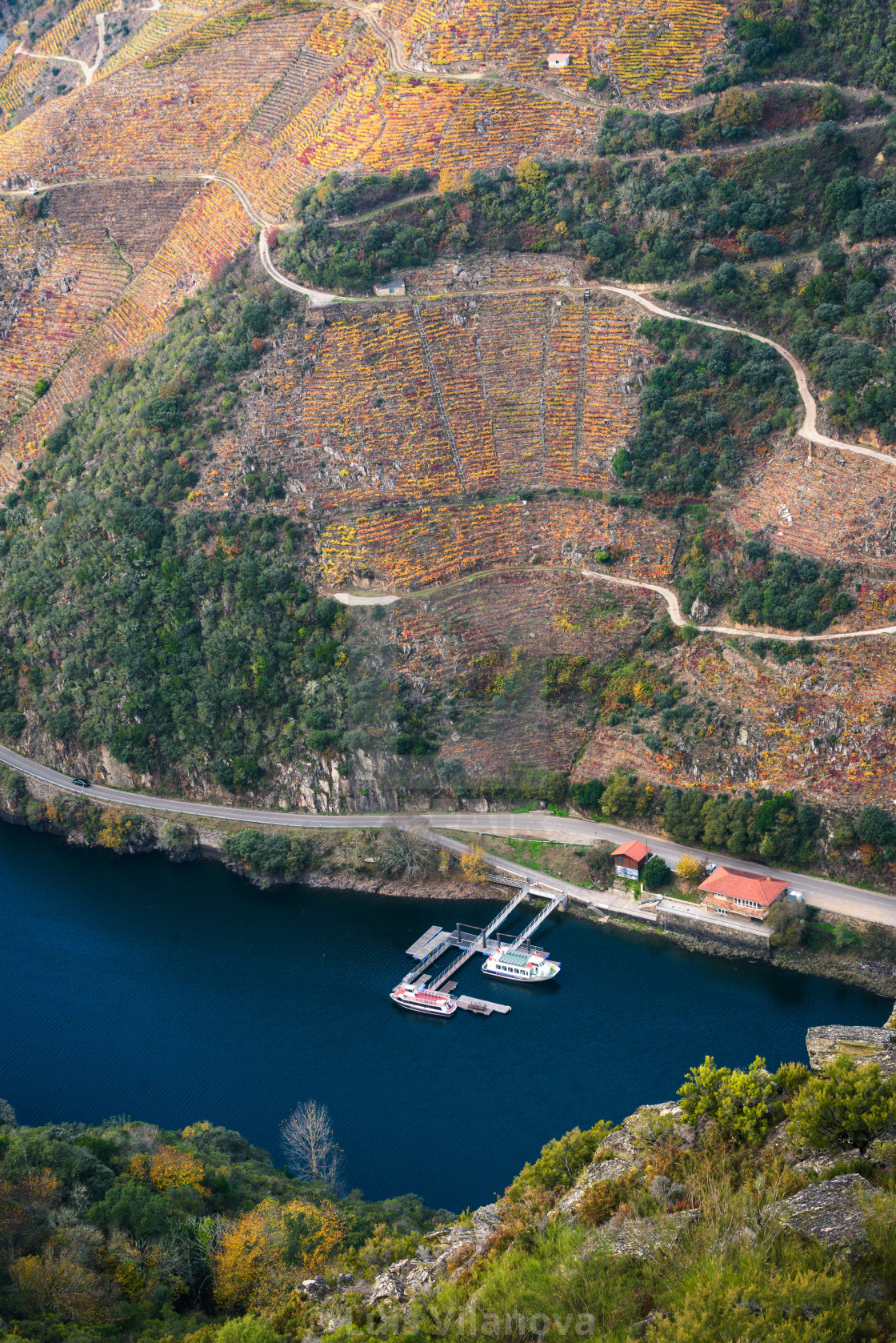 "Elevated view of the vineyards over the river and the tourist bo" by Luis Vilanova - $15.31 "Elevated view of the vineyards over the river and the tourist bo" stock image