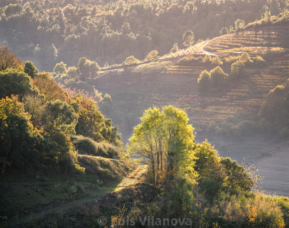 "Autumnal backlighting illuminates trees and a rural path" by Luis Vilanova - $15.31 "Autumnal backlighting illuminates trees and a rural path" stock image