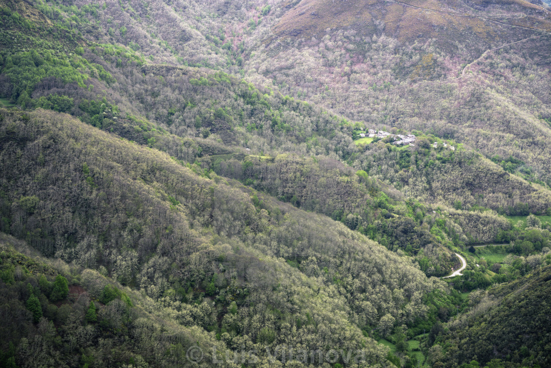 "Deciduous native forests cover hills and valleys around a villag" by Luis Vilanova - $15.31 "Deciduous native forests cover hills and valleys around a villag" stock image
