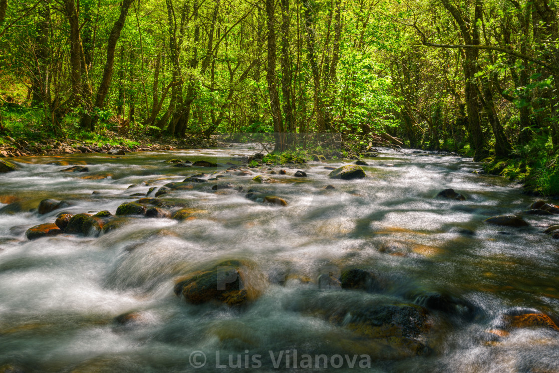 "Lights and shadows on a river between boulders and a spring birc" by Luis Vilanova - $15.31 "Lights and shadows on a river between boulders and a spring birc" stock image