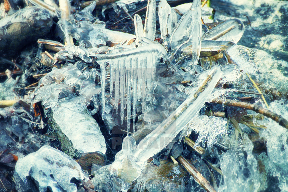 "Icicles between running waters on the border of a frozen river in winter" stock image