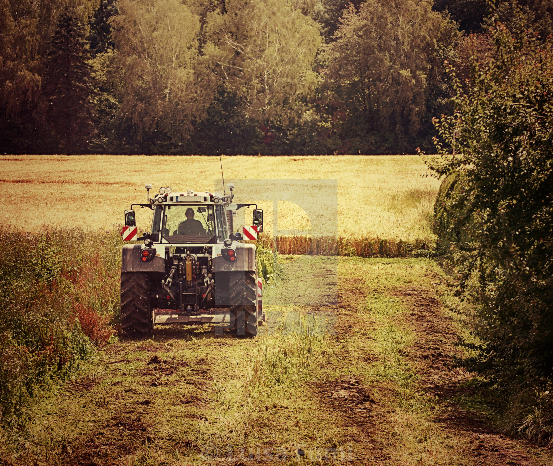 "Tractor harvesting a wheat field" stock image