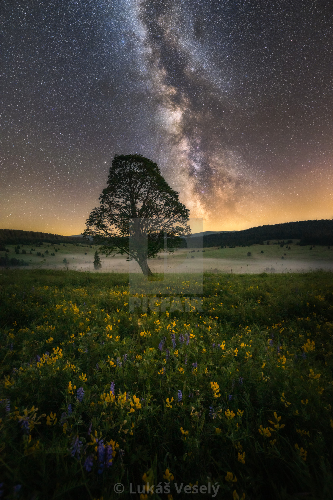 "Summer night" by Lukáš Veselý - $16.82 "Summer night" stock image