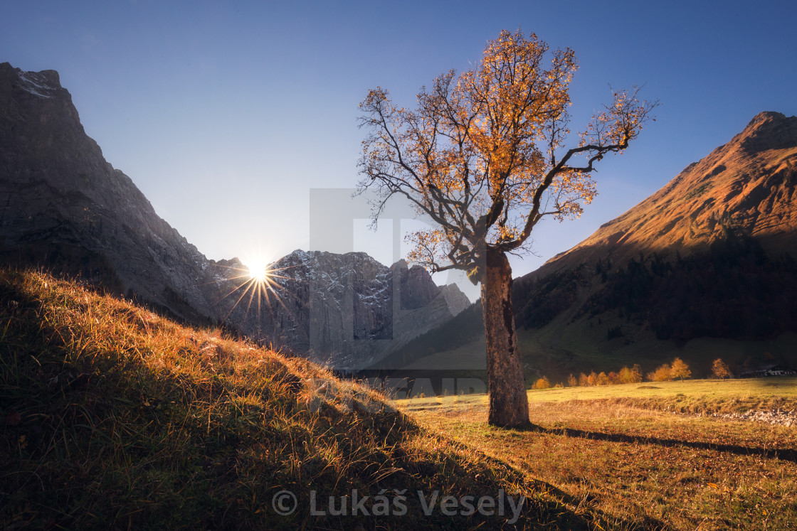 "Grosser Ahornobden" stock image